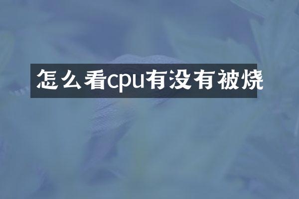 怎么看cpu有没有被烧