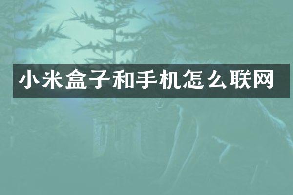 小米盒子和手机怎么联网