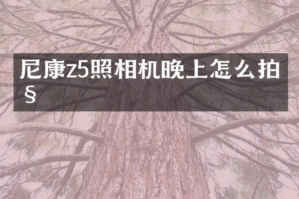 尼康z5照相机晚上怎么拍照