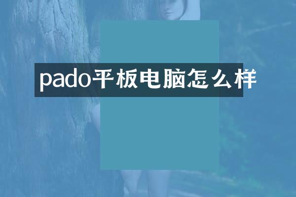 pado平板电脑怎么样