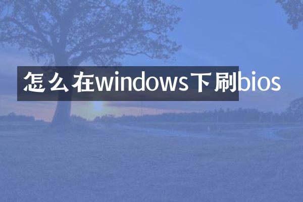 怎么在windows下刷bios