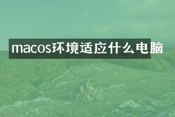 macos环境适应什么电脑