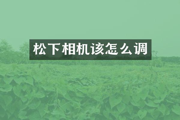 相机该怎么调