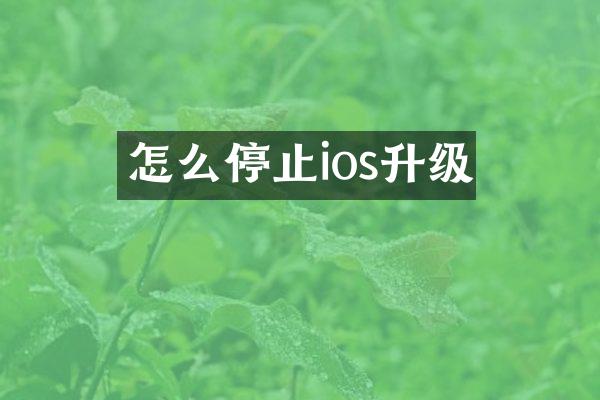 怎么停止ios升级