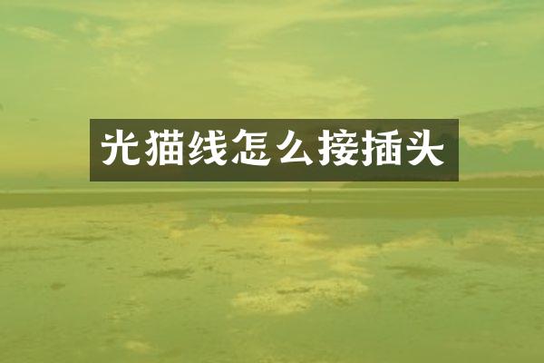 光猫线怎么接插头