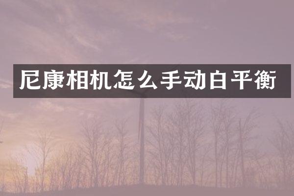 尼康相机怎么手动白平衡