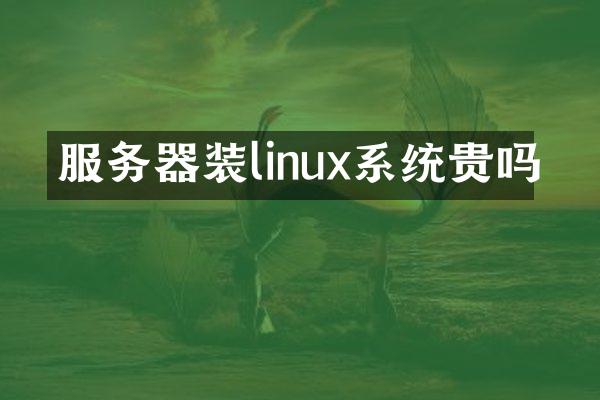 服务器装linux系统贵吗