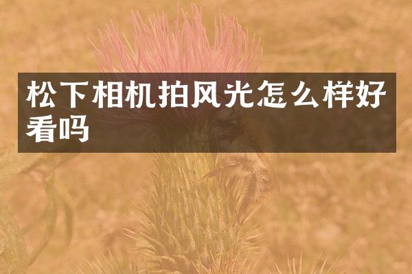 相机拍风光怎么样好看吗