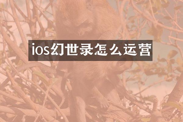 ios幻世录怎么运营