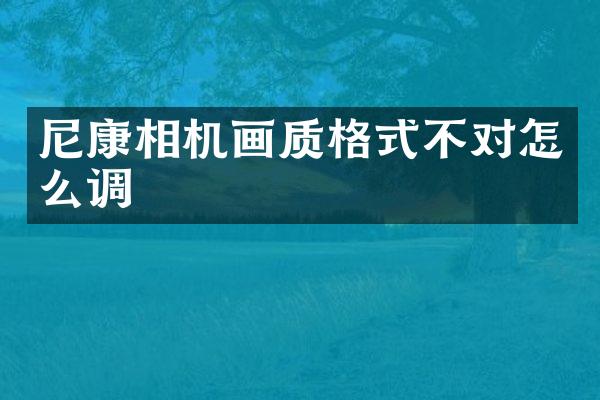 尼康相机画质格式不对怎么调