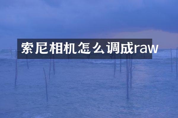 相机怎么调成raw