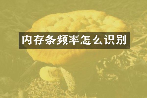 内存条频率怎么识别