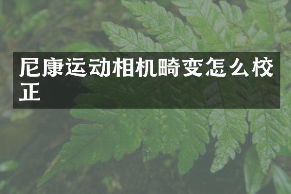 尼康运动相机畸变怎么校正