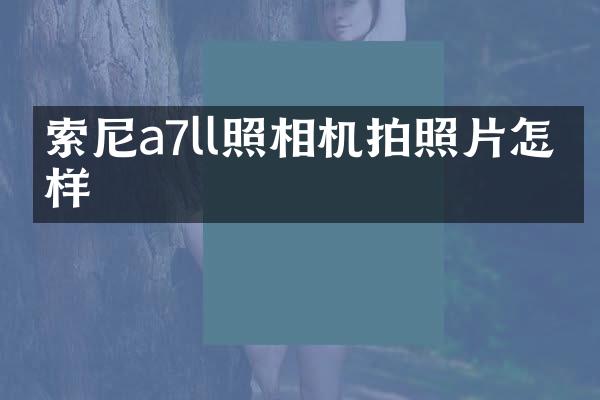 a7ll照相机拍照片怎么样