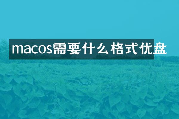 macos需要什么格式优盘