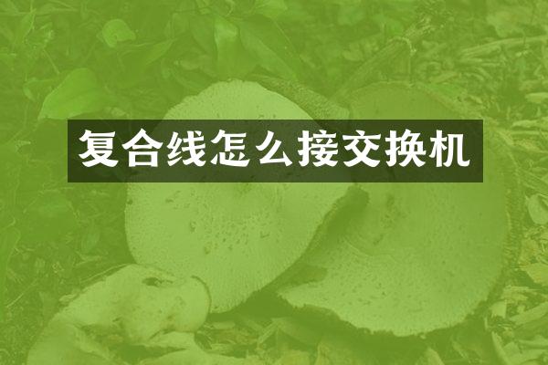 复合线怎么接交换机