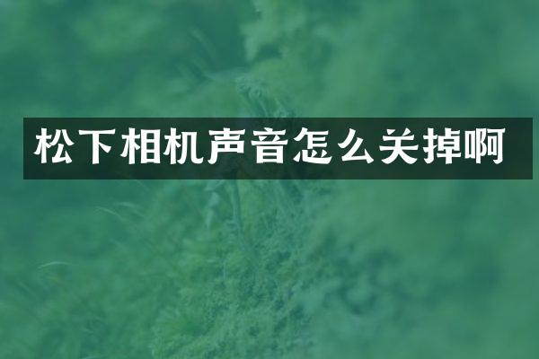 相机声音怎么关掉啊