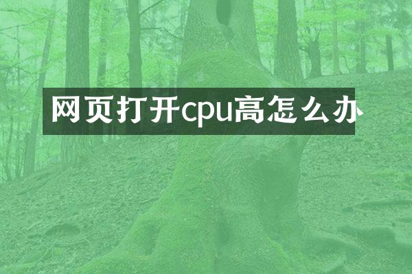 网页打开cpu高怎么办