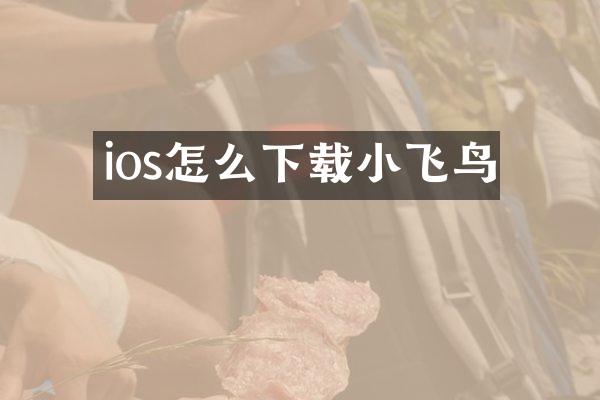 ios怎么下载小飞鸟