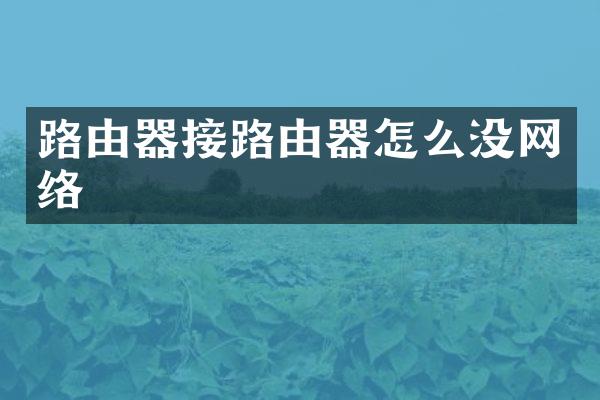 路由器接路由器怎么没网络