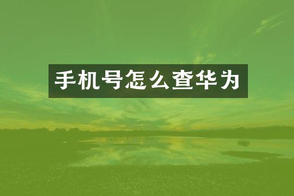 手机号怎么查华为