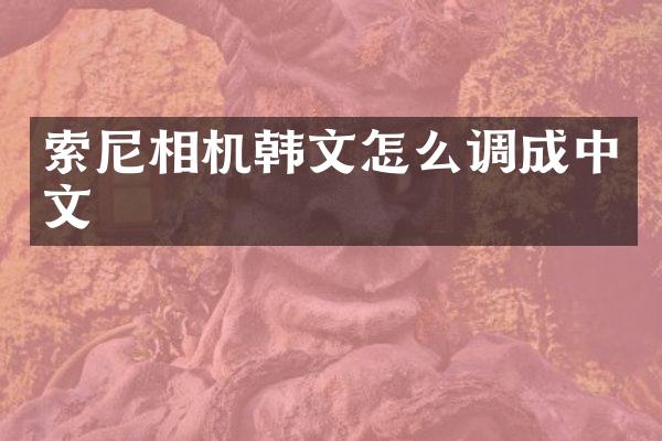 相机韩文怎么调成中文