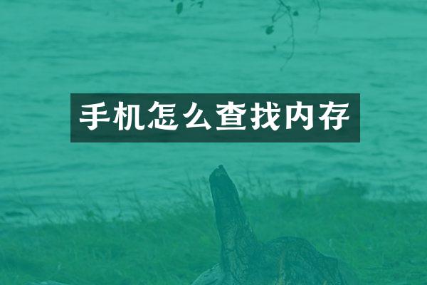 手机怎么查找内存
