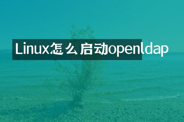 Linux怎么启动openldap