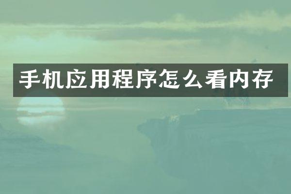 手机应用程序怎么看内存