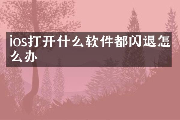 ios打开什么软件都闪退怎么办