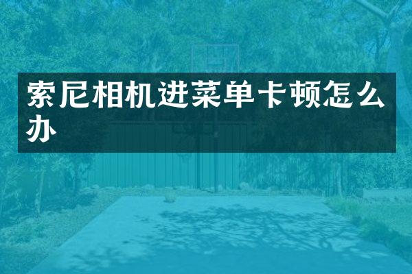 相机进菜单卡顿怎么办