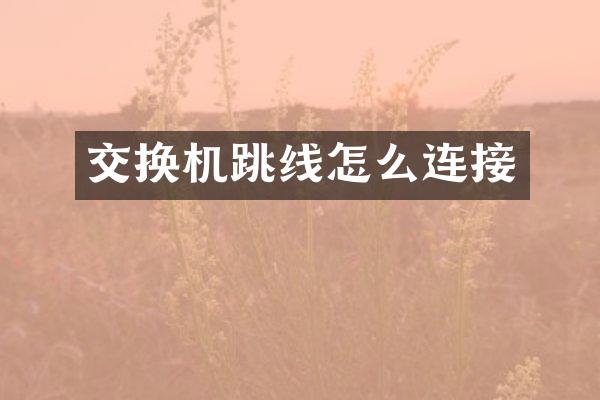 交换机跳线怎么连接