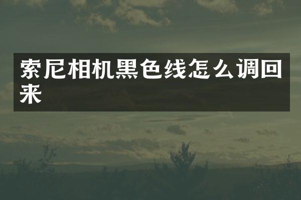 相机黑色线怎么调回来