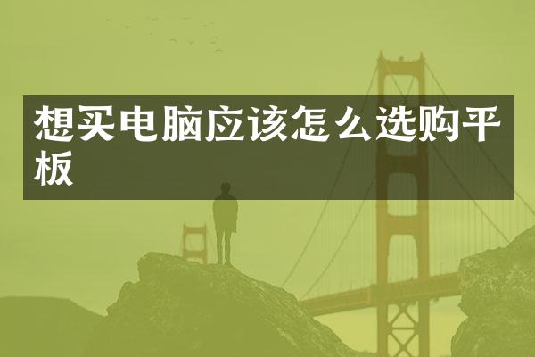 想买电脑应该怎么选购平板