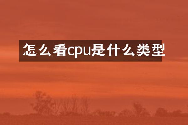 怎么看cpu是什么类型