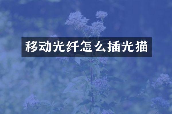 移动光纤怎么插光猫