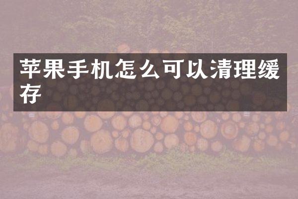 苹果手机怎么可以清理缓存