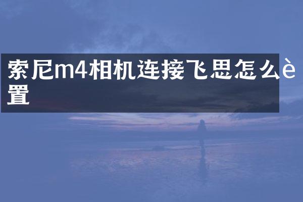 m4相机连接飞思怎么设置