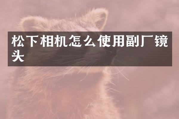 相机怎么使用副厂镜头
