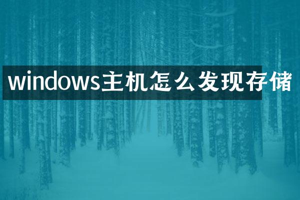 windows主机怎么发现存储