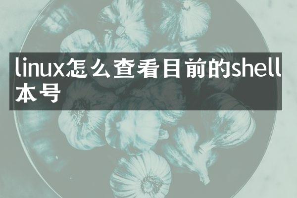 linux怎么查看目前的shell版本号