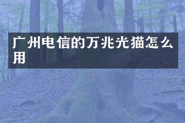 广州电信的万兆光猫怎么用