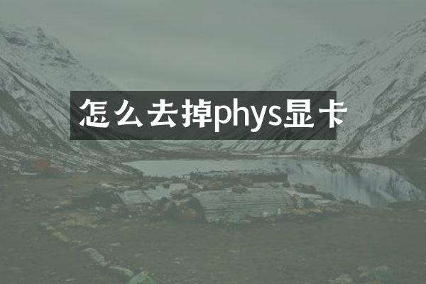 怎么去掉phys显卡