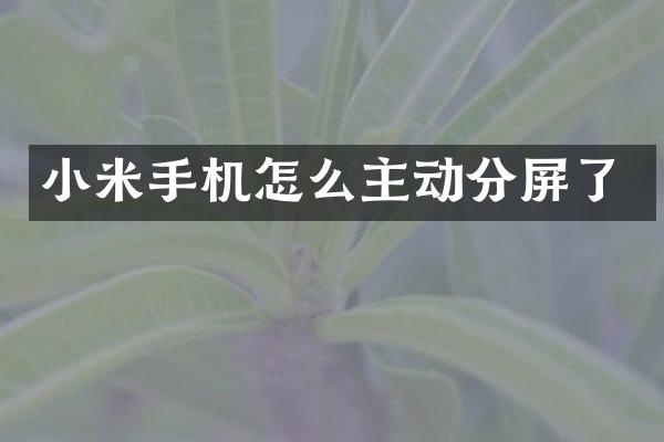小米手机怎么主动分屏了