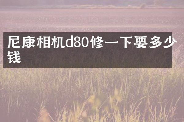 尼康相机d80修一下要多少钱