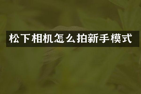 相机怎么拍新手模式