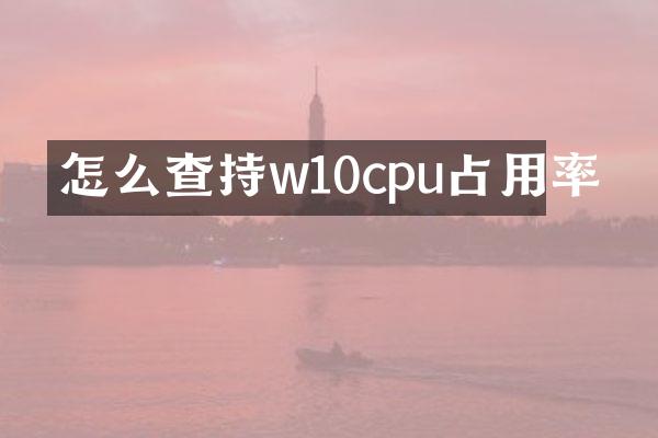 怎么查持w10cpu占用率