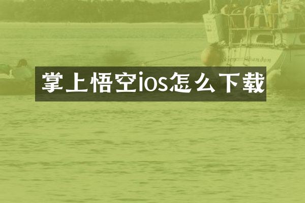 掌上悟空ios怎么下载