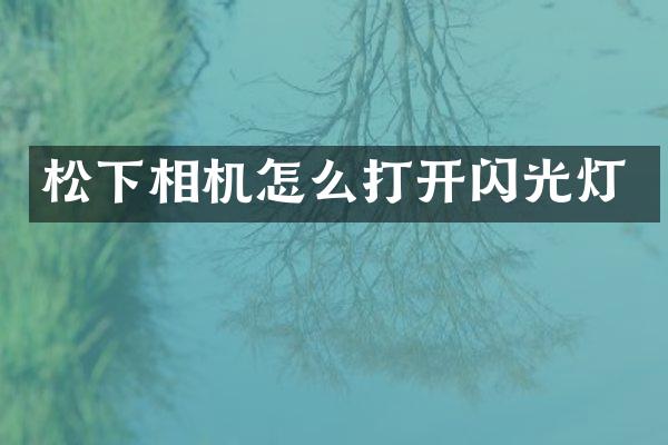 相机怎么打开闪光灯