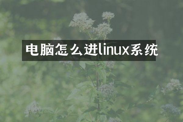 电脑怎么进linux系统